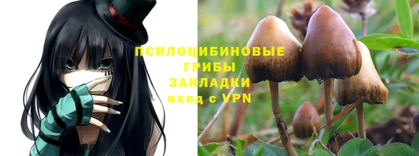 ПСИЛОЦИБИНОВЫЕ ГРИБЫ Саяногорск