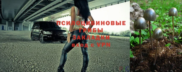 ПСИЛОЦИБИНОВЫЕ ГРИБЫ Саяногорск