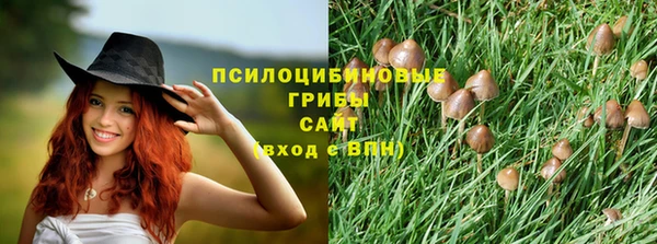 ПСИЛОЦИБИНОВЫЕ ГРИБЫ Саяногорск