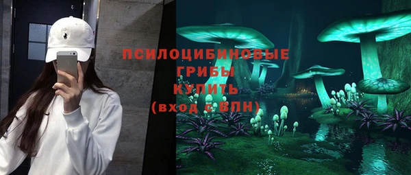 МДПВ Сафоново
